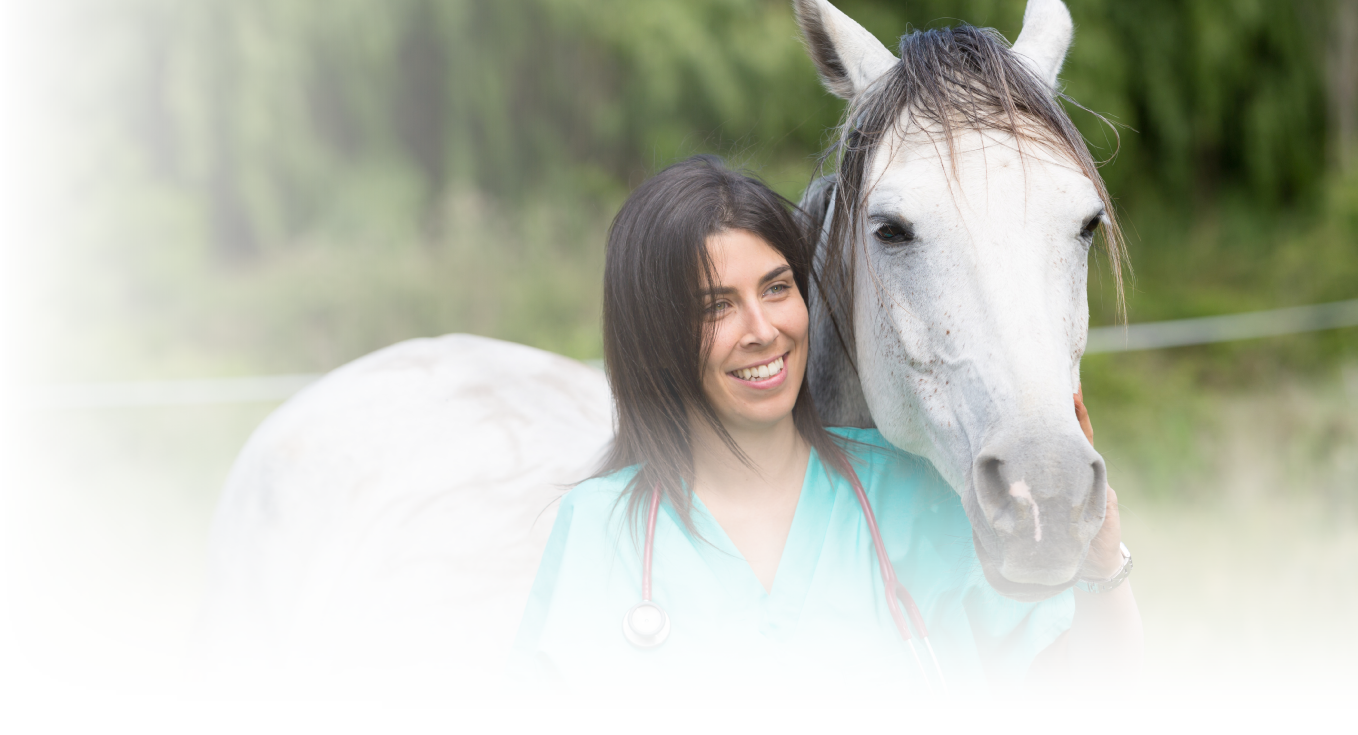 Shop Equine Muleshoe Vet Supply